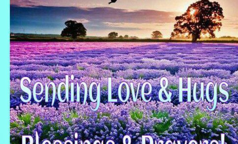 Ray of Sunshine Card Drive for Cancer Patients