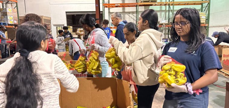 WhatsApp-Image-2025-10-31-at-9.45.10-AM-6